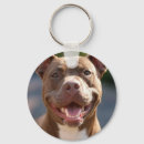 Pesquisar por bulls chaveiros Pit bull