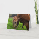 Pesquisar por farm animals cartoes Cute