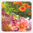 Pesquisar por inseto verde adesivos Flores