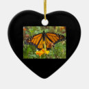Pesquisar por borboleta ornamentos Fotografia