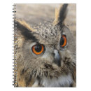 Pesquisar por coruja branca cadernos de notas Natureza