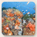 Pesquisar por estrutura porta copos Natureza