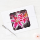 Pesquisar por lírio vermelho adesivos Rosa