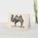 Pesquisar por sketch cartoes Arte animal