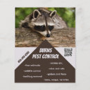 Pesquisar por insetos flyers Controlo de pragas