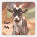 Pesquisar por goats adesivos Animal