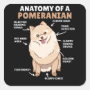 Pesquisar por pomeranian adesivos Cães