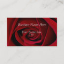 Pesquisar por rosa vermelha romântica cartao de visita Rosas