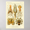 Pesquisar por vintage mars pósteres pôsteres Haeckel