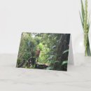 Pesquisar por primate cartoes Orangutan