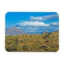 Pesquisar por patagonia imas Fotografia