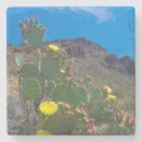 Pesquisar por tucson porta copos Arizona