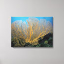 Pesquisar por planta impressão de canvas Amarelo