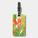 Pesquisar por flor de paraíso Tropical