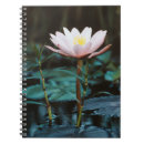 Pesquisar por school days cadernos de notas Flor