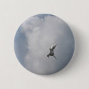 Pesquisar por terno botons Pássaro