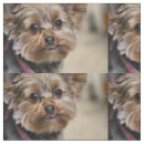 Pesquisar por yorkshire terrier artesanato material Bonito