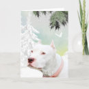 Pesquisar por pitbull branco cartoes Amante de cachorro