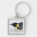 Pesquisar por pinguim de imperador chaveiros Temperatura fria