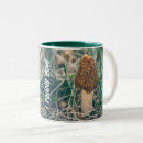Pesquisar por morels canecas Micologia