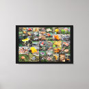 Pesquisar por cogumelo impressão de canvas Madeiras