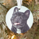 Pesquisar por cães buldogue francês de natal decoração Caninos