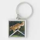 Pesquisar por desafios chaveiros Competição