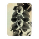 Pesquisar por painel imas Painéis