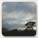 Pesquisar por tropical porta copos Árvore