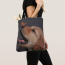 Pesquisar por retriever bolsas Animais de estimação