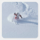 Pesquisar por ski resort adesivos Esqui