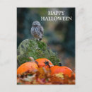 Pesquisar por castelo assombrado cartoes postais Halloween