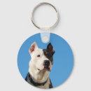 Pesquisar por amigo do cão chaveiros Canino
