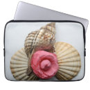 Pesquisar por escudos de capas Seashell