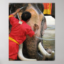 Pesquisar por elefante pôsteres Asiático