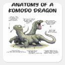 Pesquisar por barbudo adesivos Réptil