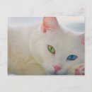 Pesquisar por amigas cartoes postais Para eles