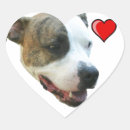 Pesquisar por do terrier de pitbull adesivos Americano