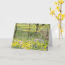 Pesquisar por cumprimento da flor Flores