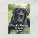 Pesquisar por cão pequeno cartao de visita Animais pequenos