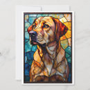 Pesquisar por cachorro labrador cartoes Azul