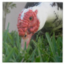 Pesquisar por azulejo da grama azulejos Para eles