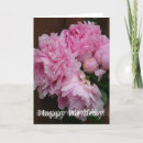 Pesquisar por peony cartoes Floração