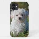 Pesquisar por filhotes de cachorro iphone capas Engraçado