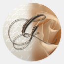 Pesquisar por a letra g adesivos Bride