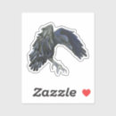 Pesquisar por crow adesivos Animal
