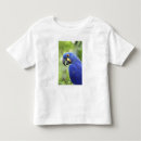 Pesquisar por pantanal camisetas Pântano