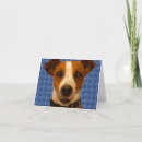 Pesquisar por jack russel cartoes Russell