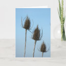Pesquisar por flores secas cartoes Plantas