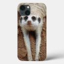 Pesquisar por suricate Mammal